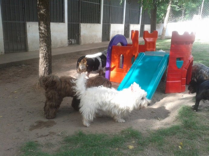 Hóspedes brincam no novo playground da Arca